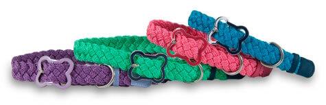 Dog Collars & Leashes - Collars